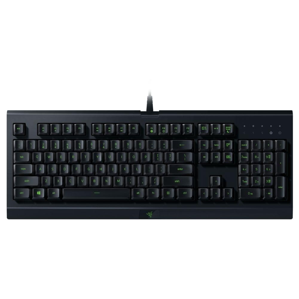 Sayo Teclado Gamer Razer Cynosa Lite - RZ0302740700R3U | Amazon.com.br