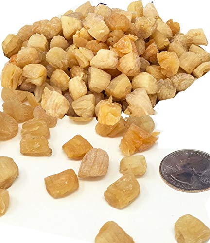 DOL Natural Sun Dried Top Graded Scallop Conpoy （小干貝 瑤柱淡幹 扇貝海鮮幹 經濟實惠） Grocery