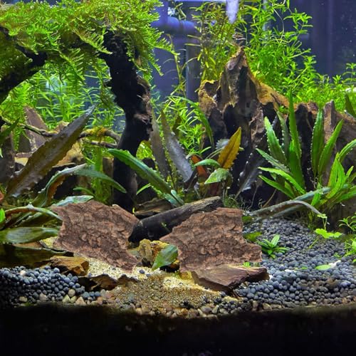 Ipetboom 10 Stück Künstliche Rinde Schildkrötenplattform Reptilienbaumrinde Korkrinde Terrarium Für Reptilien Terrariendekoration Reptilienrinde Plattform Moos