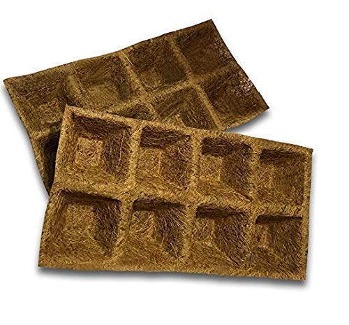 COIR GARDEN Coir Tray with Cavity, Brown, 3 Pieces (B083PZY1Q4) Amazon Price History, Amazon Price Tracker