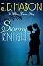 Stormy Knight: A Blink, Texas, Story
