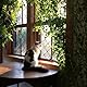 Katzennetz Für Balkon Ohne Bohren, Katzennetz Drahtverstärkt, Katzenschutznetz Für Katzen, 6x3m Schutznetz Rausfallschutz, Sicherheitsnetz, Vogelnetze Vogelschutznetz, Für Balkon Fenster Terrasse Tür