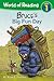 World of Reading: Mother Bruce: Bruce's Big Fun Day: Level 1