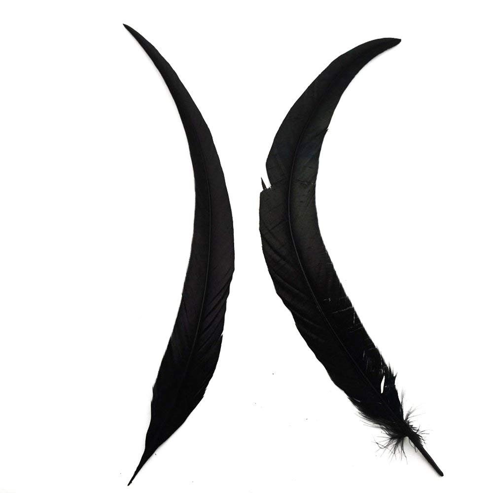 CENFRY Nature Rooster Coque Tails Feathers Costume Craft Decoration 14-16inch Pack of 10 (Black)