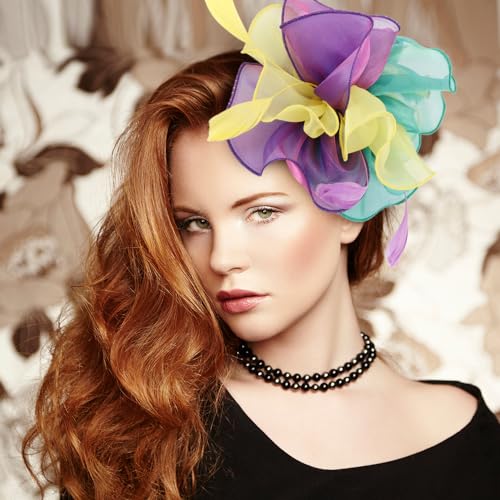 Image of DRESHOW Fascinators Hat Tea Party Headwear Ribbons Feathers on a Headband and a Clip for Women