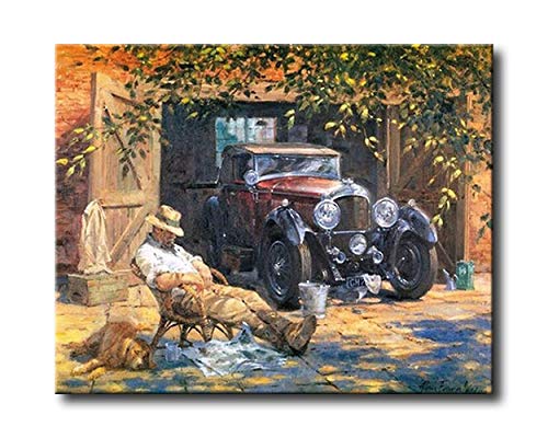 shukqueen DIY de pintura al óleo, pintura por número kits del adulto, acrílico painting-afternoon tiempo 16 x 20 pulgadas, Framed Canvas Cover