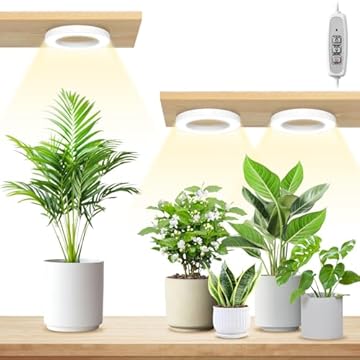 mini battery operated grow light that will transform your plants' growth 1 mini battery operated grow light