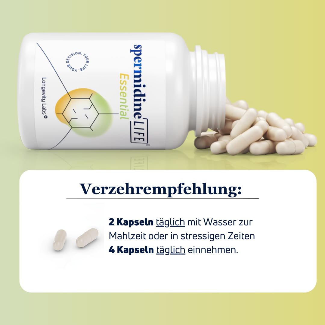 spermidineLIFE Essential – Spermidin Kapseln mit Zink & B1, 360 Stück | 1 mg Spermidin aus CelVio Weizenkeimextrakt – EU Novel Food zertifiziert – für Zellerneuerung & Energiestoffwechsel