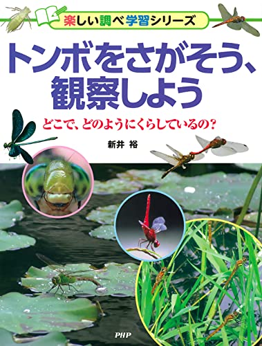 トンボをさがそう、観察しよう どこで、どのようにくらしているの?