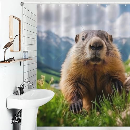 Rideau de douche imperméable lavable en machine tissu polyester salle de bain