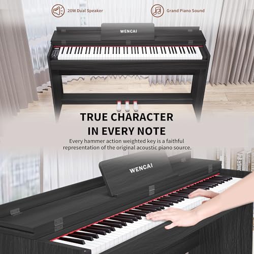 Professional 88-Key Weighted Hammer Action Digital Piano