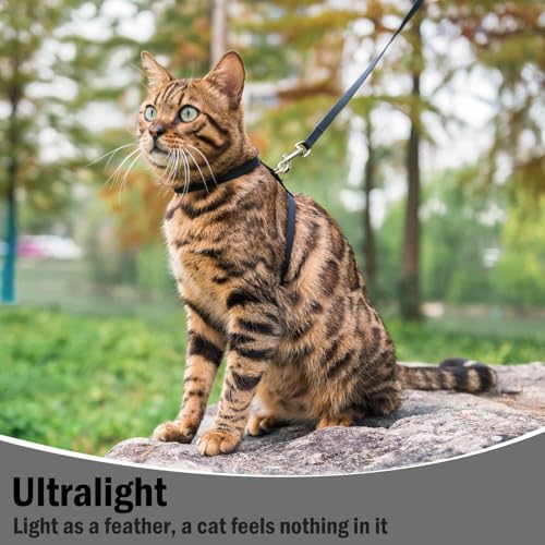 PUPTECK Adjustable Cat Harness and Leash Set Escape Proof Kitten Strap Collar for Walking Travel, Black - Image 5