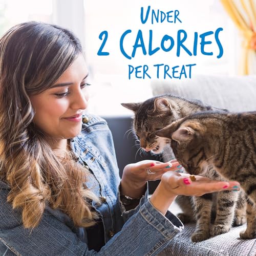 Fruitables Cat Treats Crunchy Cat Treats Packed with Protein Healthy Low Calorie Free of Wheat, Corn and Soy Made with Real Chicken and Blueberry 30 Ounces - Image 6