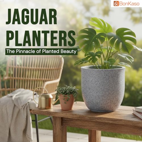 Image of BonKaso 8 Inch Jaguar Round Plant Pots | Highly Durable & Lightweight Polymer Planter for Indoor & Outdoor Use | Flower Pot (Gamla /Gamale) for Home, Office, Garden, Living Room & Balcony (Light Grey)