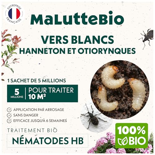 Nématodes HB contre les Vers Blancs (5M) pour 10 m² – Produit naturel et 100% efficace pour éliminer les vers blancs et les hannetons et otiorhynques du jardin, pelouses et plantes