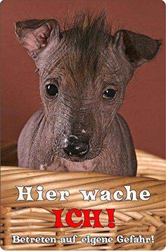 +++ Peruvian INCA Orchid Peruanischer Nackthund - Metall Warnschild Schild Hundeschild Sign - PIO 02 T15