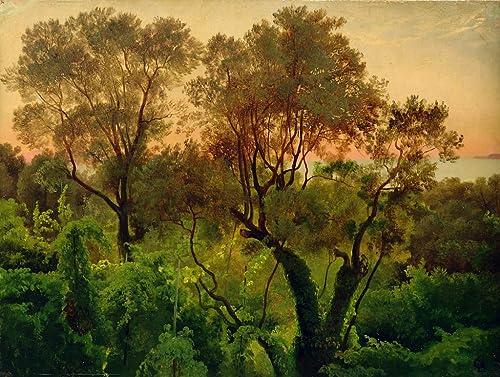 Peinture Poster Affiche d'art de Louis Gurlitt 60x90cm toile décorative paysage oliviers pour salon