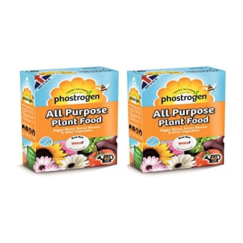 2 Packs of Phostrogen All Purpose Plant Food for Flowers Fruit Vegetables, 400g Cover