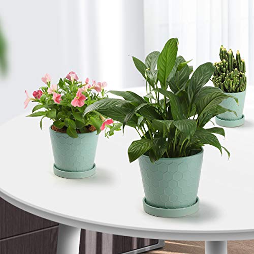 Buymax Succulent Planter –4”+5”+6” Inch Ceramic Flower Pot With Drainage Holes And Ceramic Tray - Gardening Home Desktop Office Windowsill Decoration Gift Set 3 - (Mint Green) #TOP5