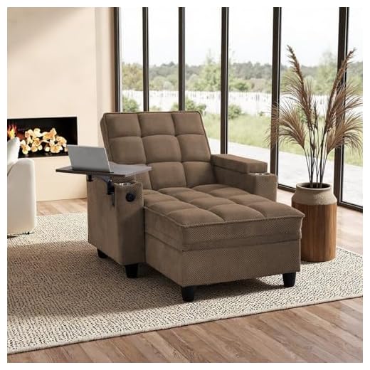 Versatile Modern Chaise Lounge Chair with USB