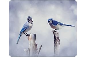 Nicokee Blue Jay Birds Gaming Mousepad Perching Stump on Doodle Trunk Art Mouse Pad