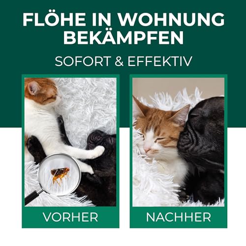 Silberkraft Flohspray für Umgebung 500ml, effektives Flohmittel gegen Flöhe, Zecken- und Milben, Flohspray für Wohnung und Möbel, ideal für Textilien, Hundebetten, Teppiche & Polster