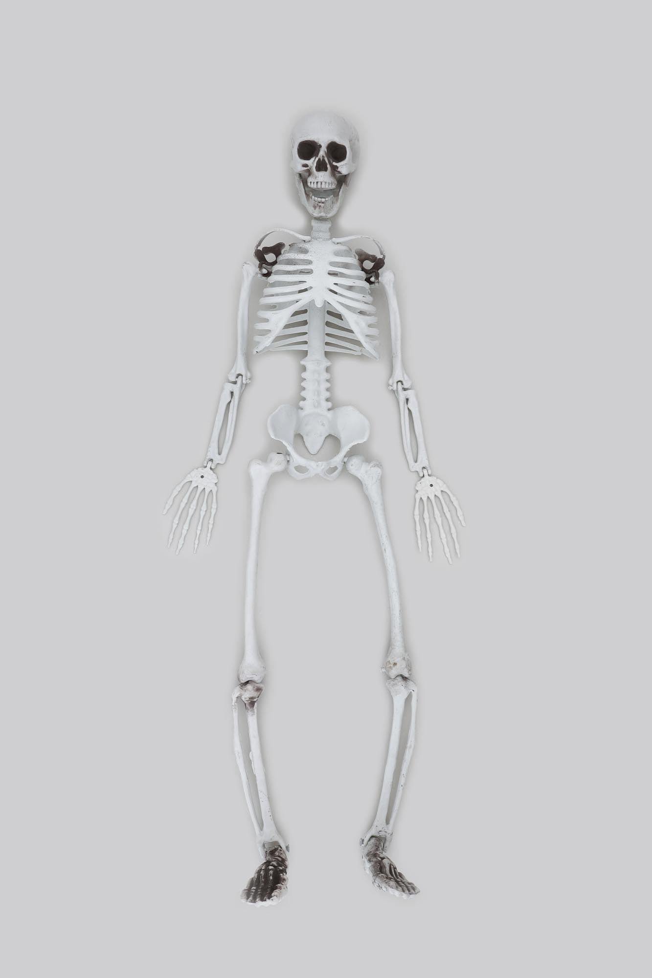 Amazon.co.jp: 等身大骸骨 90cm : ホーム＆キッチン