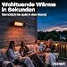 Infrarot Heizstrahler Outdoor - Terrasse Elektrisch - Decke - Fernbedienung