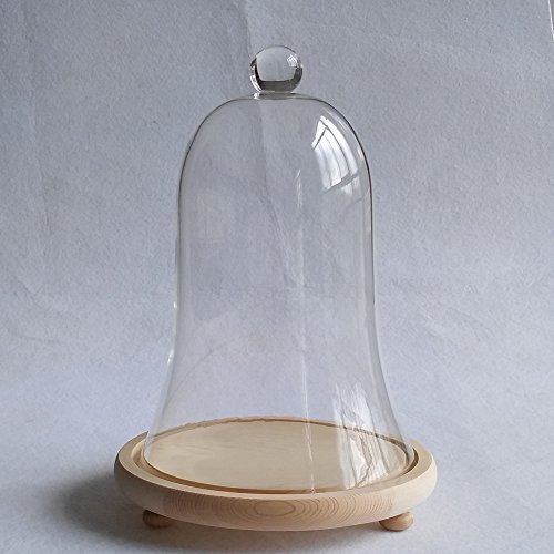 Artlass Glass Bell Shape Display Dome With Wooden Base 8.6" X 5.9" #TOP5