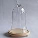 Artlass Glass Bell Shape Display Dome with Wooden Base 8.6