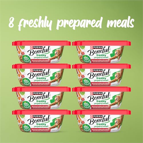 Image of Purina Beneful Dog Food Freshly Prepared Meals Simmered Beef Entree with Carrots, Barley, Wild Rice and Spinach - (Pack of 8) 10 oz. Tubs
