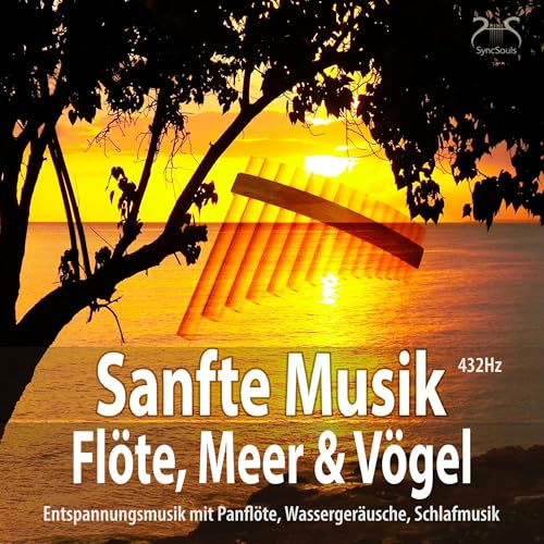 Page de couverture de Sanfte Musik Fl&ouml;te, Meer und V&ouml;gel &ndash; Entspannungsmusik (432Hz)