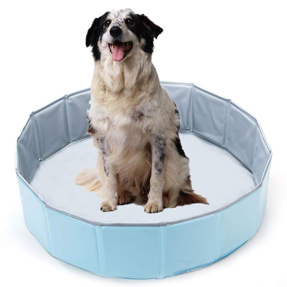 Piscine Pliable pour Animaux De Compagnie Pataugeoire pour Chiens Piscine pour Chien Baignoire pour Chats Piscine Pliante pour Enfants pour Extérieur Intérieur