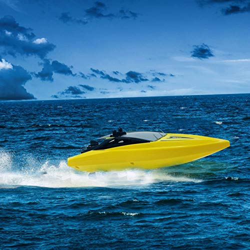 remote control pool toys