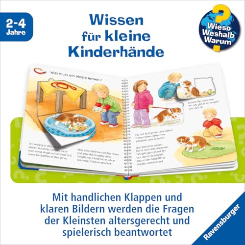 Wieso? Weshalb? Warum? junior, Band 41 - Mein Hund (Sachbuch ab 2 Jahre - mit Klappen) (junior, 41)