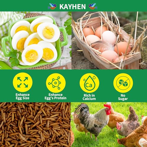 Image of Dried Black Soldier Fly Larvae Treats for Chickens Wild Birds Ducks 5LB | More Calcium Than Mealworms High-Protein Non-GMO Pure Natural