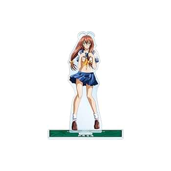 【一騎当千】クリアファイル 10種セット【非売品】 一騎当千グッズセット DVD CD クリアファイル マグカップ ボード