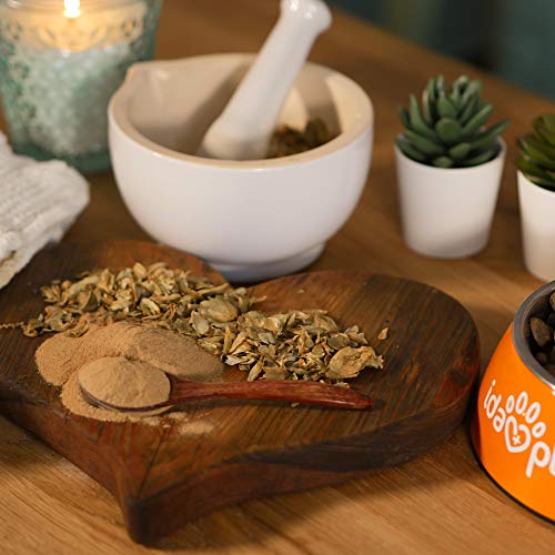 Ida Plus - Puur biergistpoeder, 3 kg, 100% natuurproduct voor honden, katten en paarden, voedingssupplement voor… - Image 3