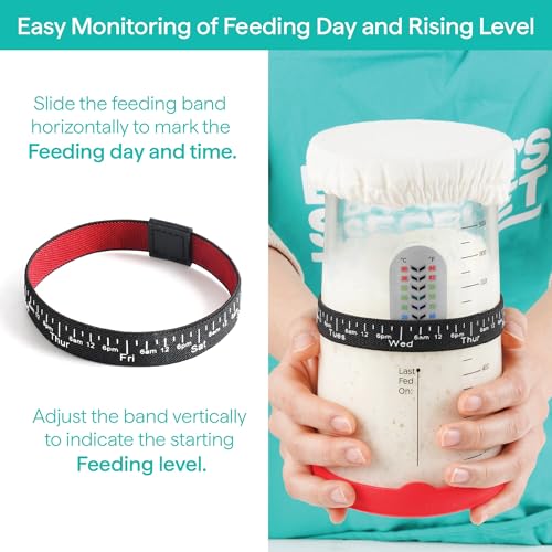 View 5