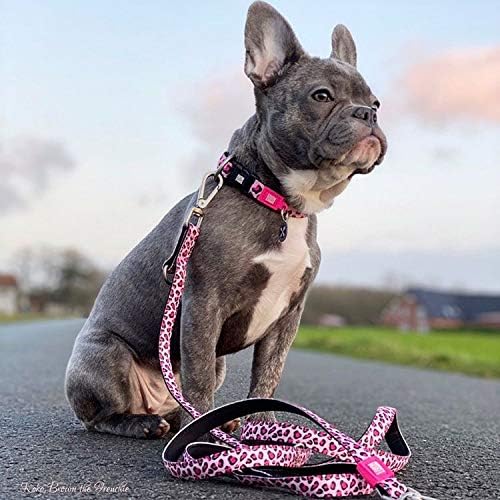 Max & Molly 6-in-1 Hands Multi-Function Dog Leash, Ultra Soft Padded Neoprene, Pink Leopard M, Medium - Image 3