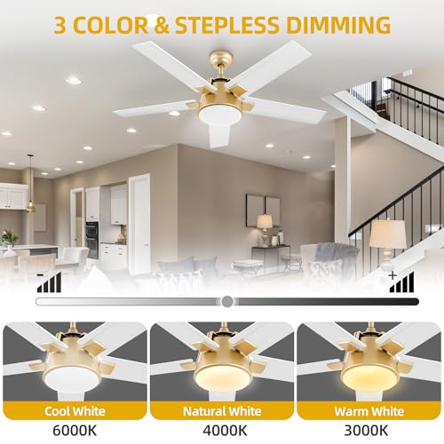 DWVO Ceiling Fan with Light and Wall Switch Remote, Quiet Reversible Motor, Dimmable LED Color, Memory Function for Bedroom Living Room Patio Indoor Outdoor, 52 Inch Modern Gold & White Fan