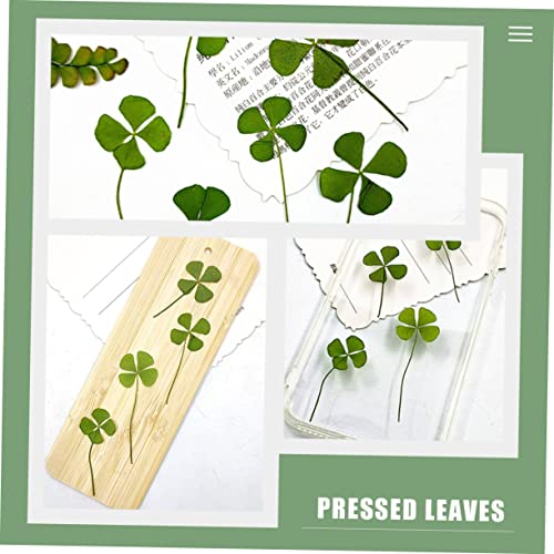 24 piezas de trébol prensado natural para manualidades miniatura 3
