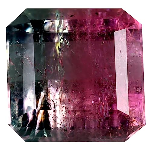 Tourmaline pastèque Mozambique 5.20 ct octogone 9x9mm pierre précieuse en vrac