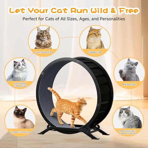 Image of GTPLAYER Cat Wheels, Large Cat Exercise Wheel for Indoor Cats, 40 inchDiameter cat treadmill Detachable Carpet & Teaser, stickers, Ultra-quiet scroll wheel With latch, Suitable for Most Cats, Metal, Gray