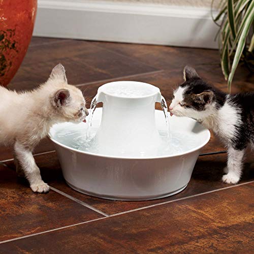 PetSafe Ersatz-Aktivkohlefilter für Drinkwell-Keramik-Trinkbrunnen, Sauberes Trinkwasser für Hunde und Katzen, 4er Pack