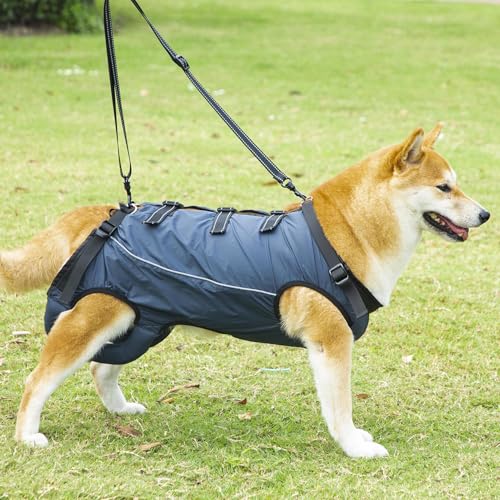 Hebegurt Altere Hunde - Tragehilfe Für Haustiere,Verstellbare Gehhilfe für Hunde mit Schwäche in den Hinterbeinen, Senioren, Behinderungen & Verletzungen