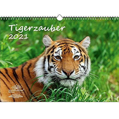 Télécharger Calendrier 2021 Tigerzauber - Format A3 - Coffret cadeau - Contenu : 1 calendrier, 1 carte de Noël livre En ligne