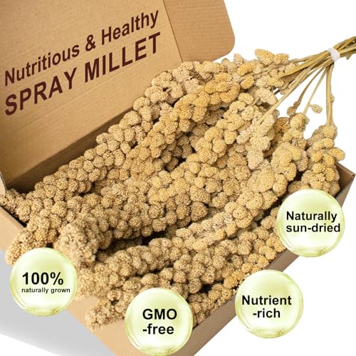 Natural Spray Millet for Birds, 400 Gram Sun-Dried Millet Bird Treat - Food for Parakeets, Parrots, Cockatiels, Lovebirds, Finches, Canaries - Image 3