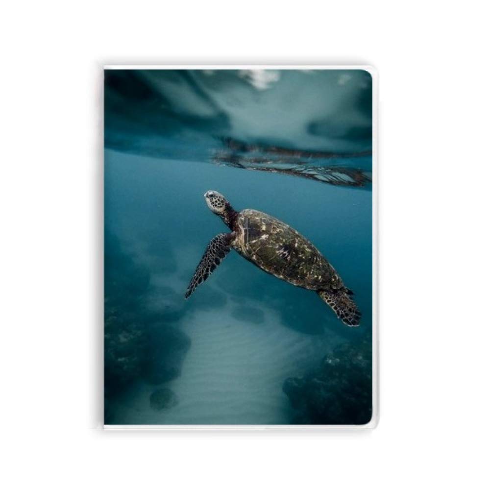Carnet de notes ocean sea turtle souple pour ne plus perdre vos idées de sciences et nature - 4