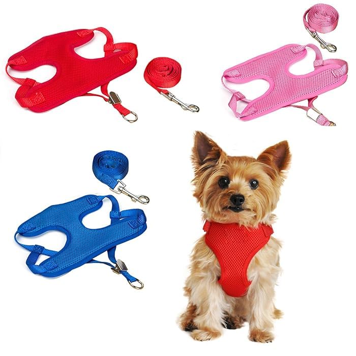 See full amazon price history chart for Pups&Pets Padded Harness for Small Puppy/Kitten/Cat Vest Harnesses Cat/Dog Training Soft Mesh Comfort Padded Vest Harness for Small Dogs, Cat, Puppies 10 MM Nylon Leash (1 Pcs Pack) (Blue) Pups&Pets Padded Harness for Small Puppy/Kitten/Cat Vest Harnesses Cat/Dog Training Soft Mesh Comfort Padded Vest Harness for Small Dogs, Cat, Puppies 10 MM Nylon Leash (1 Pcs Pack) (Blue) (B0CV82HX9X) Amazon Price History, Amazon Price Tracker